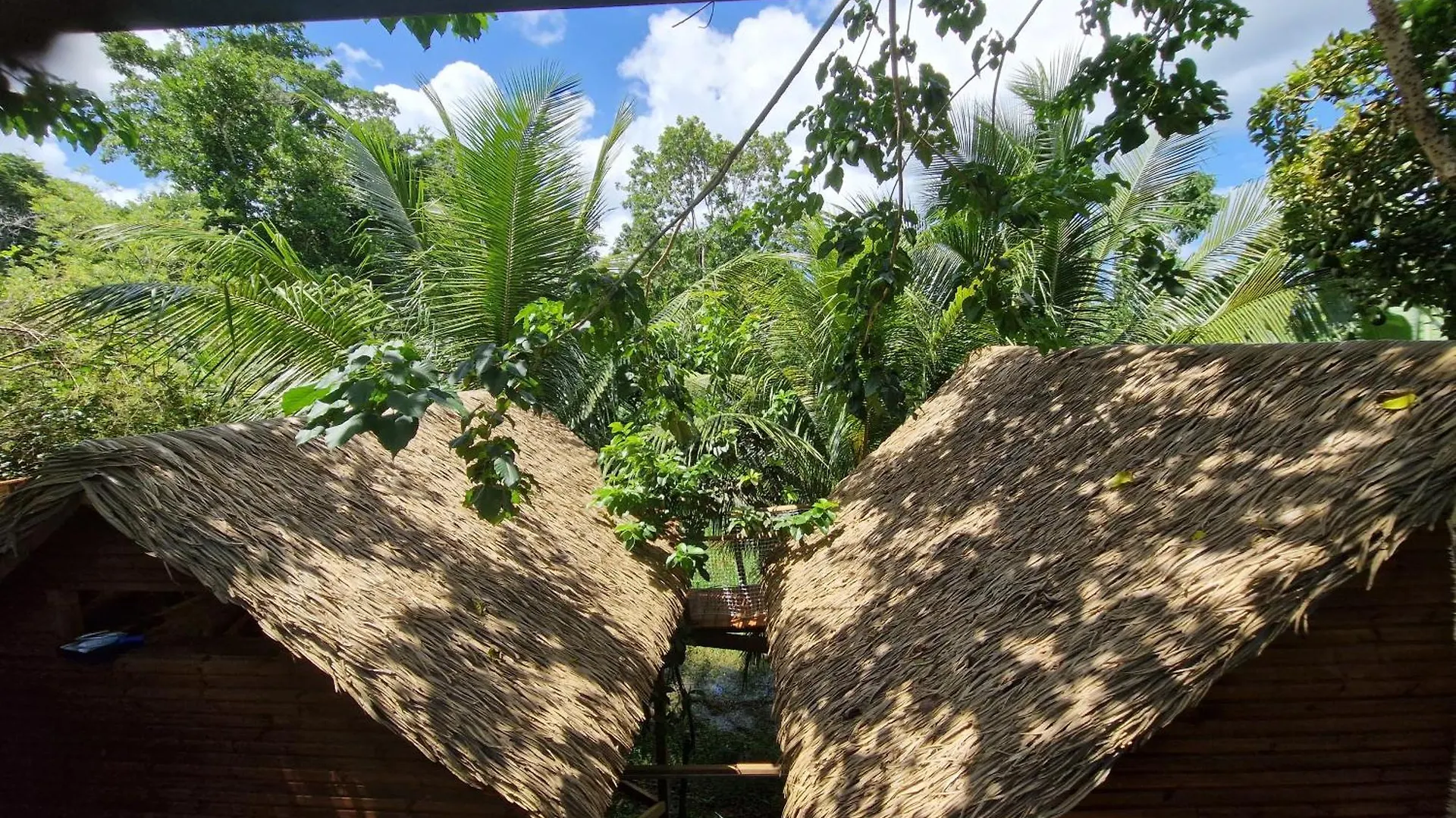 Luxury tent Pura Vida Lodge Cabane Perchee Sainte-Rose